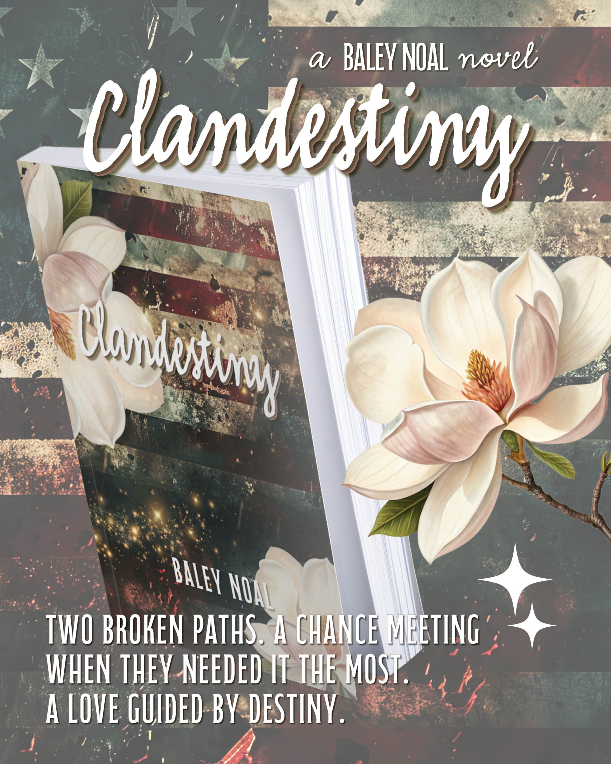 BN_sm_BookBanners_Clandestiny